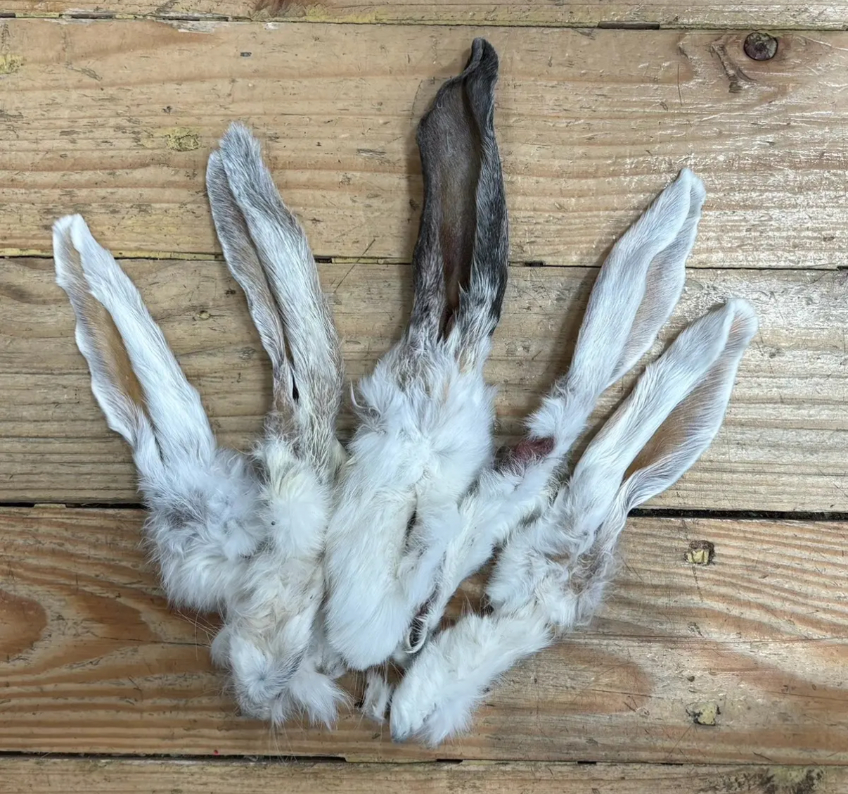 image0 2 - Edmondson's